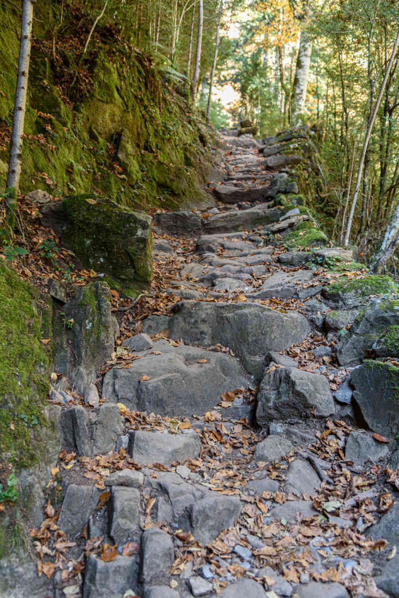 Huesca - parque nacional de Ordesa y Monte Perdido - valle de Añisclo 67 - cañon de Añisclo - sendero.jpg